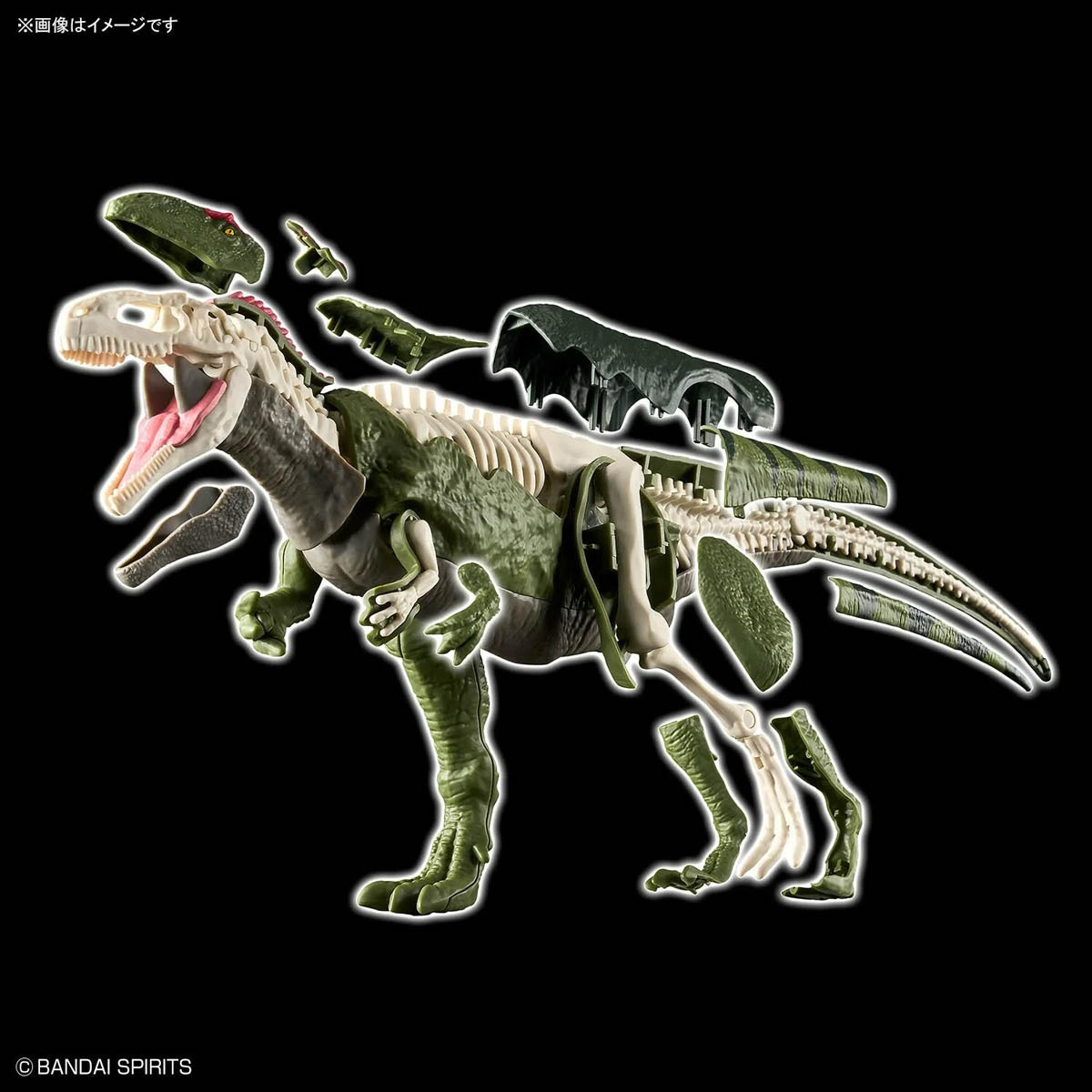 BANDAI Plannosaurus Giganotosaurus Modellbausatz – Lernkit Für Dinosaurier-Fans