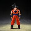 [For Parts Only] S.H. Figuarts Son Goku (The Kind-Hearted Saiyan) (Dragon Ball Z) Main Thumbnail