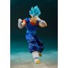 Super Saiyan God Super Saiyan Vegito -SUPER- S.H. Figuarts Action Figure (Dragon Ball Super) Additional Thumbnail 4