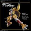 Figure-rise Standard WarGreymon (Digimon Adventure) Additional Thumbnail 4
