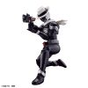 Figure-rise Standard Kamen Rider Skull (Kamen Rider W) Additional Thumbnail 1