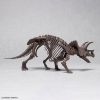 Imaginary Skeleton Triceratops Additional Thumbnail 1