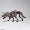 Imaginary Skeleton Triceratops Additional Thumbnail 2