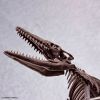 Imaginary Skeleton Mosasaurus Additional Thumbnail 6