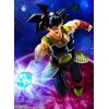 S.H. Figuarts Bardock (Dragon Ball Z) Additional Thumbnail 7