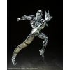 S.H. Figuarts Metal Cooler (Dragon Ball Z) Additional Thumbnail 1