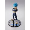 S.H. Figuarts Vegeta Super Saiyan Blue (15th Anniversary Version) (Dragon Ball Super) Additional Thumbnail 1
