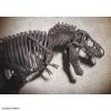 Imaginary Skeleton Tyrannosaurus Additional Thumbnail 7