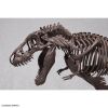 Imaginary Skeleton Tyrannosaurus Additional Thumbnail 5