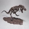 Imaginary Skeleton Tyrannosaurus Image