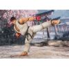 S.H. Figuarts Ryu (Outfit 2) (Street Fighter) Additional Thumbnail 4
