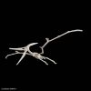 Plannosaurus Pteranodon Additional Thumbnail 6