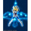 Myth Cloth Cygnus Hyoga (20th Anniversary Ver.) (Saint Seiya) Additional Thumbnail 7