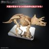 Action Base 6 (Clear Color Mirror Sticker Set) Additional Thumbnail 4