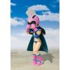 S.H. Figuarts Kid Chi Chi (Dragon Ball) Additional Thumbnail 3