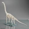 Plannosaurus Brachiosaurus Additional Thumbnail 6