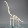 Plannosaurus Brachiosaurus Additional Thumbnail 4