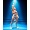 S.H. Figuarts Kinnikuman Perfect Origin Arc Ver. (Kinnikuman) Additional Thumbnail 6