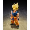 S.H.Figuarts Super Saiyan Son Goku - Fighter of Rage (Dragon Ball Z) Additional Thumbnail 1