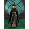 S.H. Figuarts Elphaba (Wicked) Additional Thumbnail 1