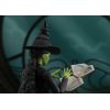 S.H. Figuarts Elphaba (Wicked) Additional Thumbnail 4