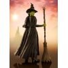 S.H. Figuarts Elphaba (Wicked) Main Thumbnail