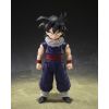 S.H.Figuarts Son Gohan (Limited Edition Z-Fighters Group Base Ver. A) (Dragon Ball Z) Main Thumbnail