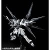 RG Strike Freedom Gundam Deactive Mode [P-Bandai] Additional Thumbnail 1