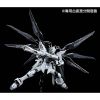 RG Strike Freedom Gundam Deactive Mode [P-Bandai] Additional Thumbnail 6