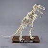 Plannosaurus Tyrannosaurus 1915 Additional Thumbnail 3