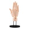 Artist Support Item Hand Model/Right Hand (Pale Orange Ver.) (Designed by Takahiro Kagami) Image