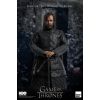 Sandor 'The Hound' Clegane (Season 7) 1/6 Scale Action Figure (Game of Thrones) Additional Thumbnail 1