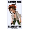 Yoh Asakura Figure (Shaman King) Additional Thumbnail 6