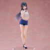 Tenitol Mai Sakurajima (Rascal Does Not Dream of Bunny Girl Senpai) Main Thumbnail