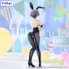BiCute Bunnies Hana Uzaki (Uzaki-chan Wants to Hang Out!) Additional Thumbnail 4