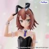 BiCute Bunnies Kinoshita Hideyoshi (Baka And Test Summon the Beasts II) Additional Thumbnail 1