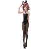 BiCute Bunnies Kinoshita Hideyoshi (Baka And Test Summon the Beasts II) Main Thumbnail
