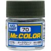 Mr Color C-070 Dark Green Matte 10ml Main Thumbnail