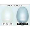 Gundam Marker EX XGM-301 Pearl White (Angled Flat Edge Tip / Alcohol Based Paint) Additional Thumbnail 1