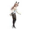 Eila Ilmatar Juutilainen: Bunny Style Ver. (Strike Witches: Road to Berlin) Image