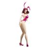Kallen Kouzuki Bare Leg Bunny Ver. (Code Geass: Lelouch of the Rebellion) Image