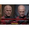 Movie Masterpiece Deadpool (Battling Version) (Deadpool & Wolverine) Additional Thumbnail 7
