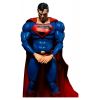 Superman Limited Edition (DC Comics) Additional Thumbnail 3