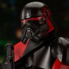 Premier Collection Purge Trooper 1/7 Scale Statue (Star Wars: Obi-Wan Kenobi) Additional Thumbnail 6