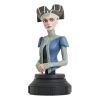 Padme Amidala Bust (Star Wars The Clone Wars) Main Thumbnail
