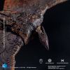 Exquisite Basic Rodan Action Figure (Godzilla: King of the Monsters) Additional Thumbnail 7