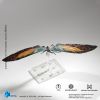 Exquisite Basic Mothra Action Figure (Godzilla: King of the Monsters) Additional Thumbnail 2