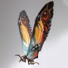 Exquisite Basic Mothra Action Figure (Godzilla: King of the Monsters) Image