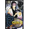 Demon Slayer Vol. 16 (Japanese Version) Image