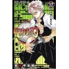 Demon Slayer Vol. 17 (Japanese Version) Image